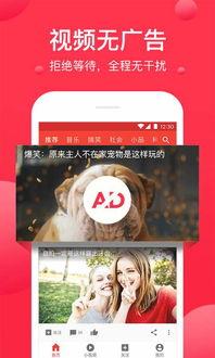 娱乐吃瓜配音视频素材下载,素材下载背后的故事