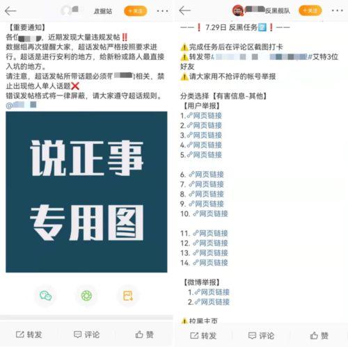 娱乐圈吃瓜营销号是什么