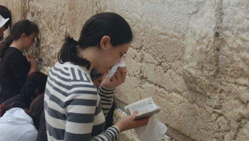 娱乐吃瓜君粉丝,揭秘幕后故事与精彩瞬间