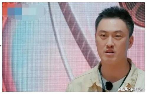 吃瓜娱乐圈有新瓜吃了,揭秘明星幕后故事